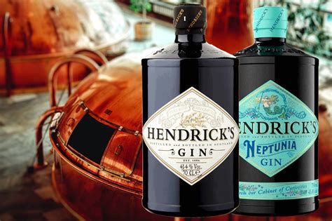 what gins are similar to hendricks
